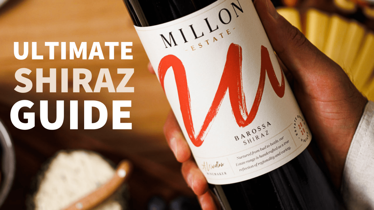 The Ultimate Guide To Shiraz - Millon Wines