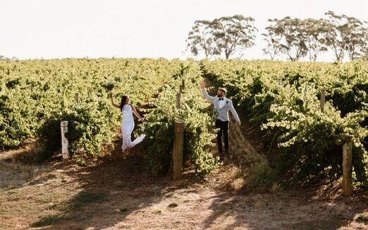 Dream Winery Weddings in Breathtaking Settings - Millon Wines