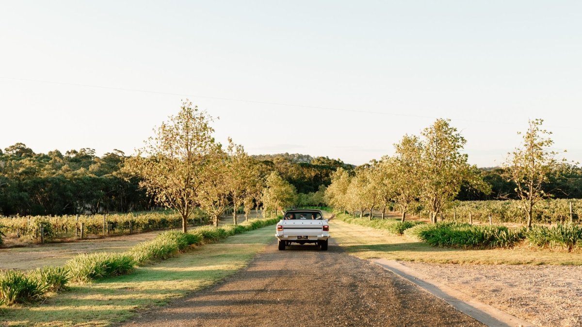 Expert Tips for Hosting an Exquisite Wedding or Function at an Artisan Winery - Millon Wines