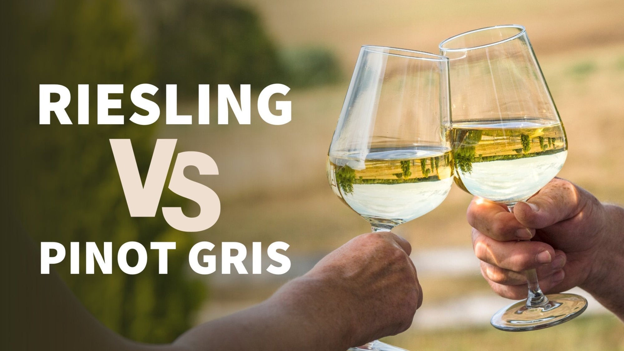 Riesling VS Pinot Gris - Millon Wines