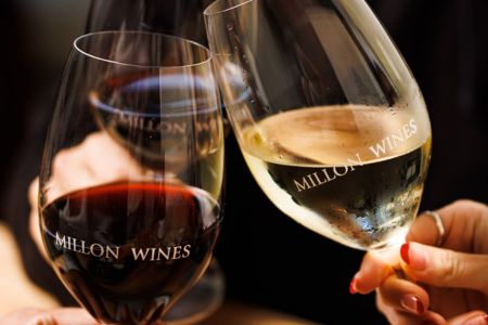 The Science Behind Wine Tasting: How Our Senses Work Together - Millon Wines