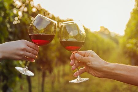 What Are Tannins in Wine? article - Millon Wines