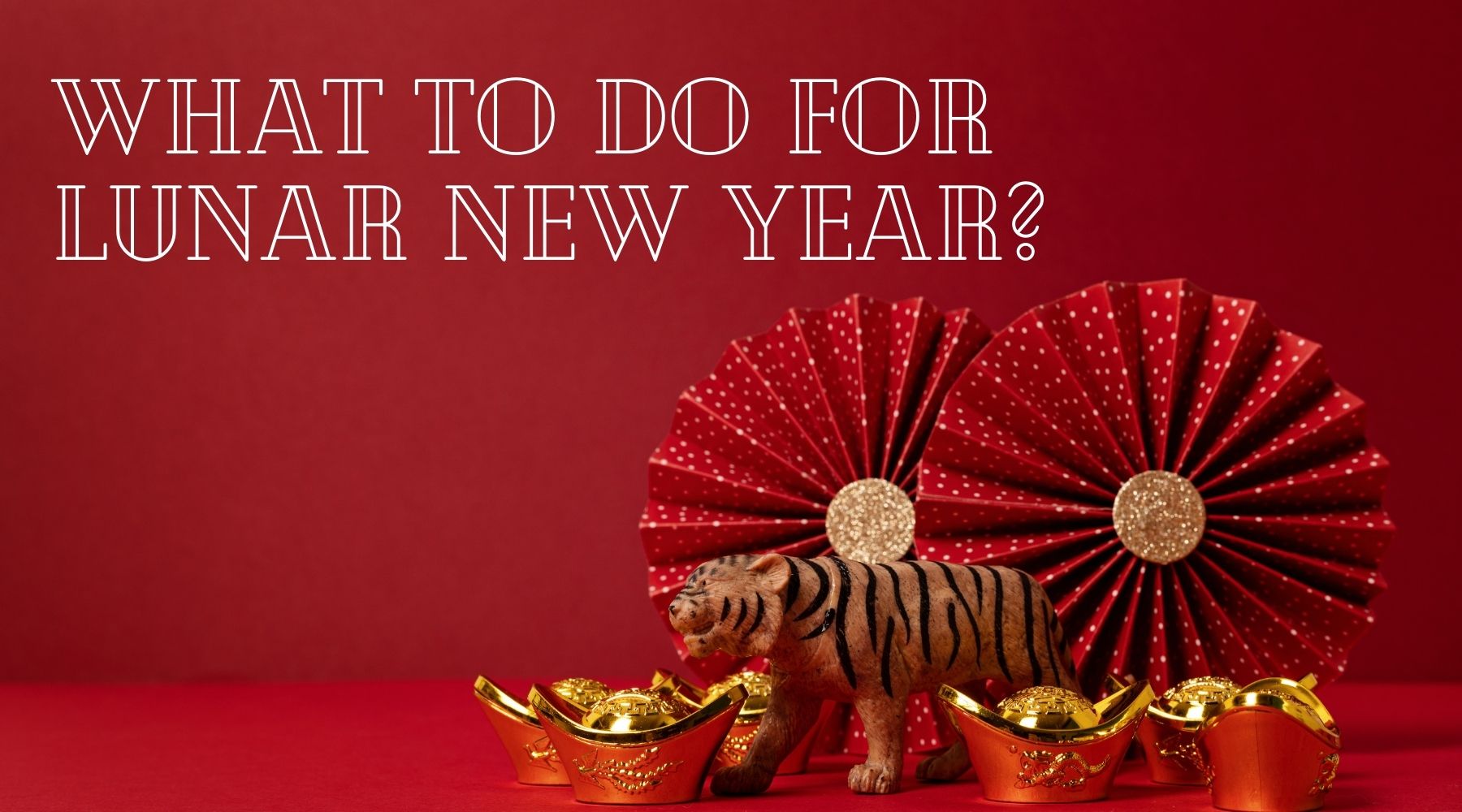 What to do for Lunar New Year? - Millon Wines